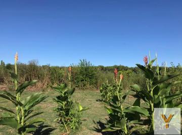 Campo · 81499m² · Campo en Venta - 81.499 m² - Campana