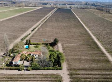 Campo · 96815m² · 4 Dormitorios · Viñedo en Producción con Hermosa Casa Patronal Estilo Frances Sobre Calle Cochabamba