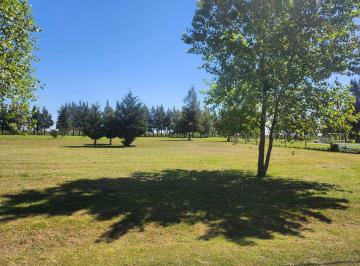 Terreno · 1800m² · Terreno en Venta - 1800 m² - Fincas de San Vicente