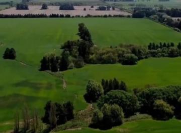 Terreno · 740000m² · Venta, Terreno, Campo, Cardales, Exaltación de La Cruz