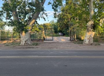 Terreno , Chacras de Coria · Venta de Terreno en Calle Viamonte de Chacras de Coria