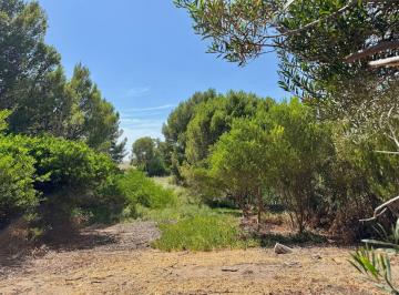 imagen1 · Terreno Sauce Grande Zona Forestada