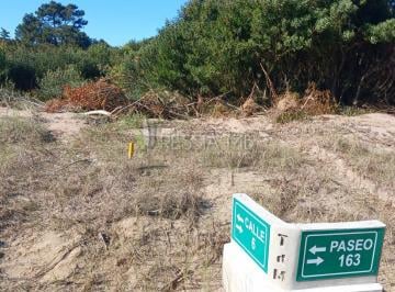 Terreno , Villa Gesell · Lotes Multifamiliares - Desde 1.200 m² - Paseo 163 y Av 4 - Colonia Marina (Pdo. de Villa Gesell)