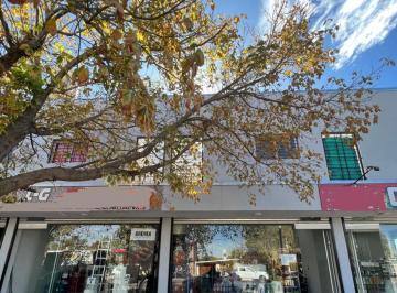 PH de 8 ambientes, San Rafael · Locales Comerciales y Departamentos