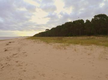 Terreno · 320000m² · Venta Terreno 32 Hectáreas - Brisas del Plata Colonia Uruguay Frente Al Río de La Plata - Permuta