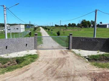 Terreno , La Plata · Terrenos y Lotes en Venta en Arana