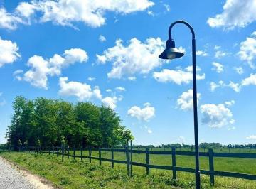 Terreno · 10000m² · Venta Chacra en Zelaya, Gba Zona Norte, Pilar