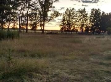 Terreno , La Plata · Lotes en Venta