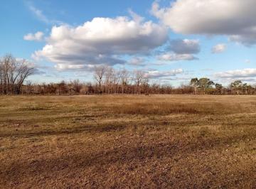 Terreno · 140000m² · Chacra Venta 14 Ha Lindera con Arroyo Manzanares Pilar