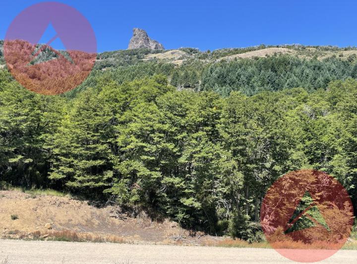 Terreno · 1000m²