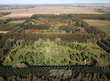 Campo · 300m² · 1 Ambiente · Campo Sobre La Circunvalación 515