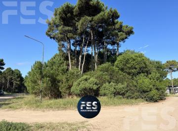 Terreno · 880m² · Terreno en Alamos