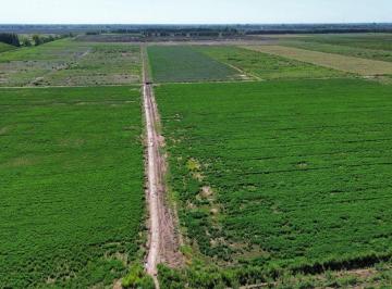 Campo , Lavalle · Finca Agrícola de 76 Ha con Doble Derecho de Riego – Jocolí Viejo, Lavalle a 5 Min de Villa Tulumaya