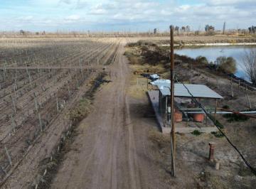 Campo , Jocolí Viejo · Finca Agrícola de 76 Ha con Doble Derecho de Riego – Jocolí Viejo, Lavalle a 5 Min de Villa Tulumaya