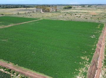 Campo , Jocolí Viejo · Finca Agrícola de 76 Ha con Doble Derecho de Riego – Jocolí Viejo, Lavalle a 5 Min de Villa Tulumaya