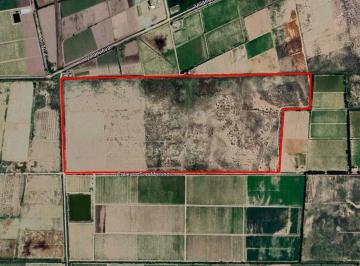 Campo , Jocolí Viejo · Finca Agrícola de 76 Ha con Doble Derecho de Riego – Jocolí Viejo, Lavalle a 5 Min de Villa Tulumaya