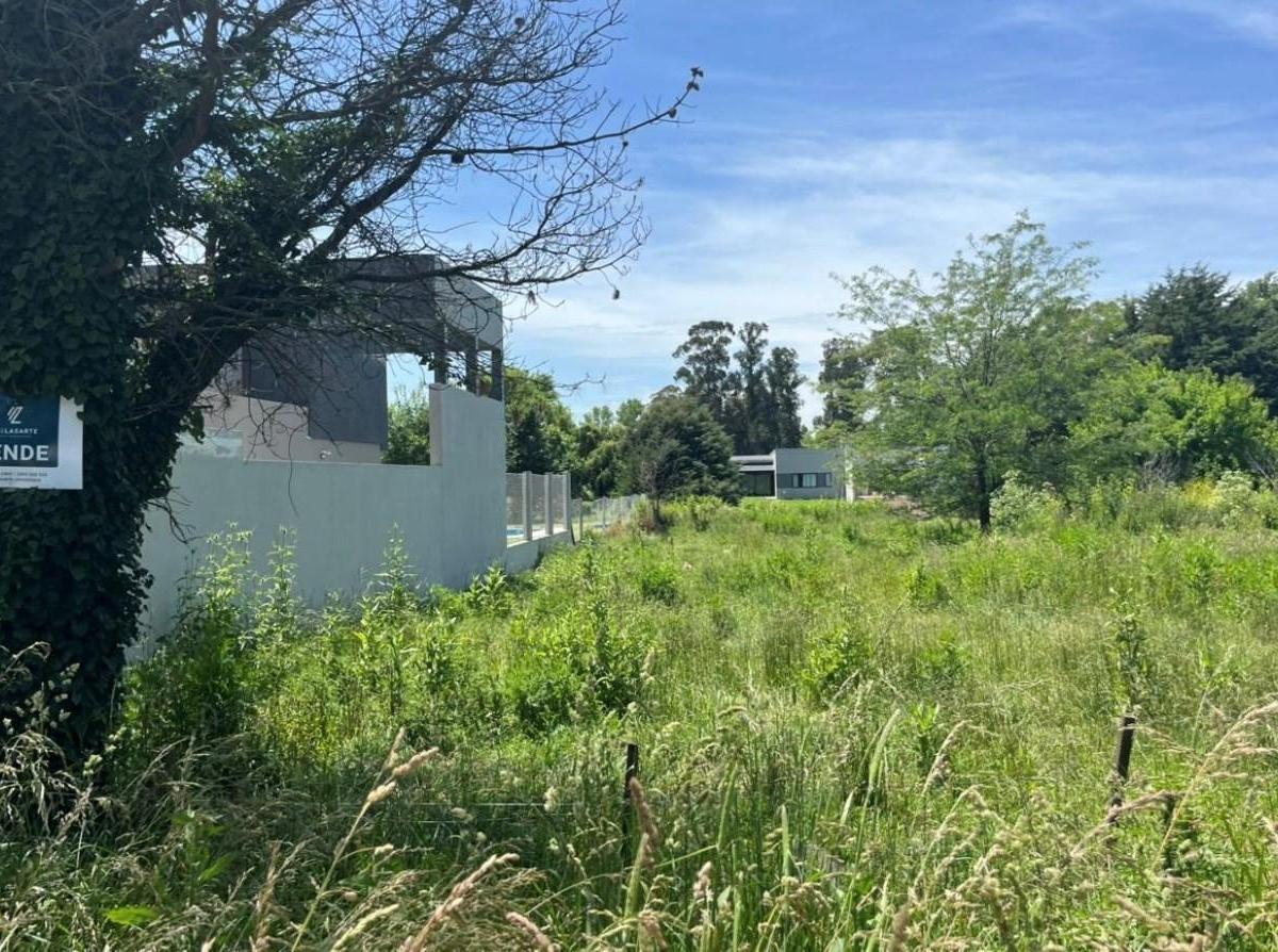 Excelentes lotes en muy buena zona. En pleno desarrollo.