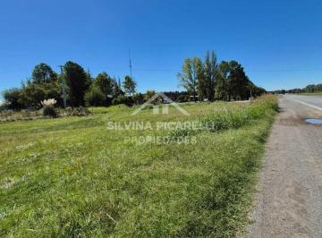 Campo · 133m² · Terreno Campo en Venta en Chenaut, Exaltación de La Cruz, G. B. a. Zona Norte