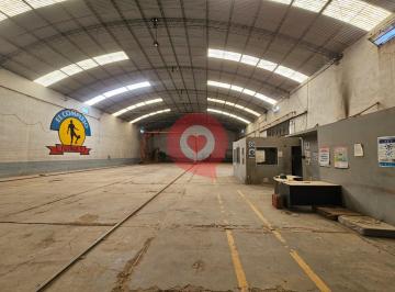 Bodega-Galpón · 1700m² · Alquiler 3 Galpones Más 6.300 m² de Predio Libre en Cipolletti