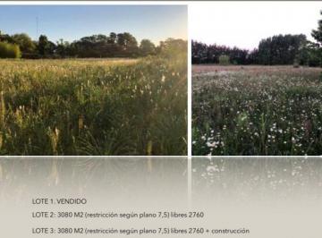 SGM-SGM-1366_2 · Lote. | Los Cardales - Campana