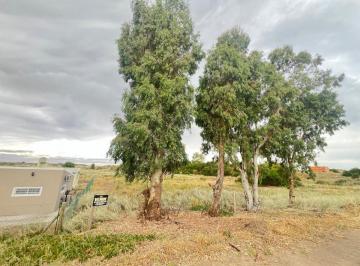 Terreno , Monte Hermoso · Se Vende Terreno en El Sauce
