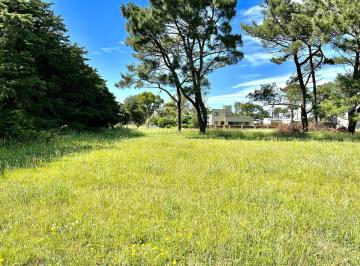 Terreno · 437m² · Terreno - Balneario Mar de Cobo