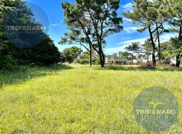 Terreno · 437m² · Lote en Venta en La Caleta – 437 m² a 600 m del Mar | Buen Acceso