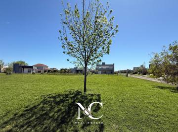 Terreno · 802m² · Terreno en San Lucas Canning