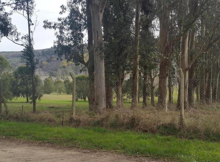 Terreno · 840m²