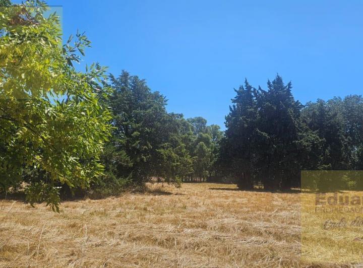 Terreno · 1200m²