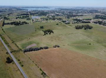 Terreno · 240000m² · Predio en Venta Apto Subdivision en San Miguel del Monte con Accesos por Ruta 41 y por Ruta 3