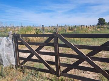 Quinta vacacional · 28300m² · En Venta Parcela en Gob. Duval a Orillas del Rio Colorado - Parcela 6 - Chacra 1