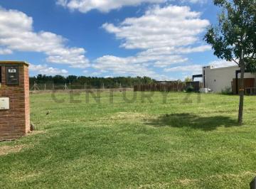 Terreno · 818m² · Venta Excentente Lote Escriturado Area 9 Permuta!
