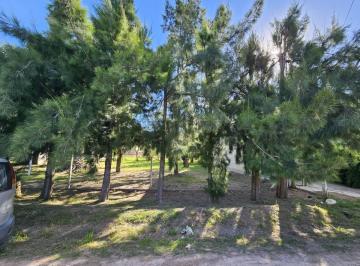 Terreno · 299m² · Lote en Venta en Parque Sicardi