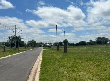Terreno · 425m² · Terreno Lote en Venta en Nueva Zelaya, Zelaya, Pilar