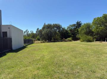 Terreno , La Plata · Oportunidad Lote en Venta Barrio La Chiquita 135 Entre 446 y 453 - 611 m