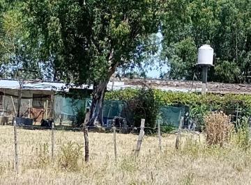 Campo , Esteban Echeverría · Campo en Venta – 6 Hectáreas – Ruta 53