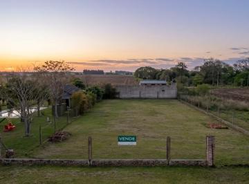 Terreno · 1000m² · Venta | Terreno de 1000 m² | Colonia Benitez