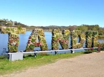Terreno · 2020m² · Venta Lote de 2.020 m² en Zona de Quintas Las Margaritas Tandil