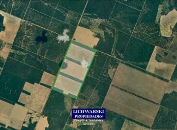 Campo , Pampa del Infierno · Venta Campo de 200 Hectáreas | Us$5.000/ha | Pampa del Infierno, Chaco.