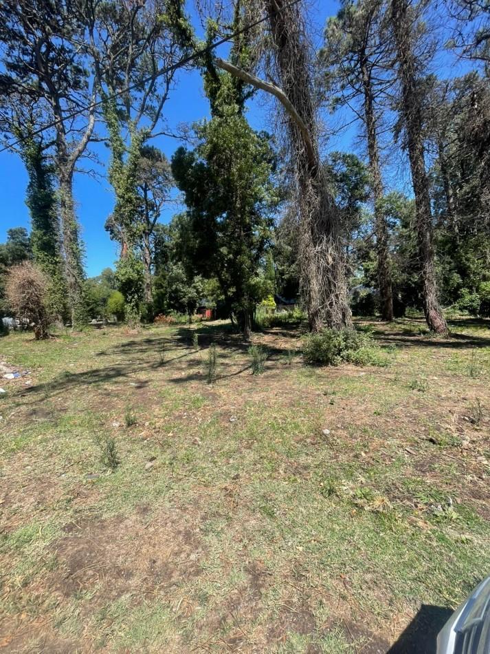 Lote doble de 961m² en Bosque Peralta Ramos