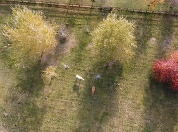 Terreno , Luján · Oportunidad Lote en Venta Estancia Las Lilas Barrio Cerrado Lujan