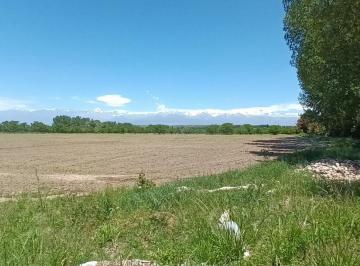 Terreno · 2000m² · Terreno en Venta en Tupungato
