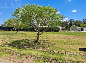 Terreno · 696m² · Lote Interno Central Excelente Ubicación 700 m²