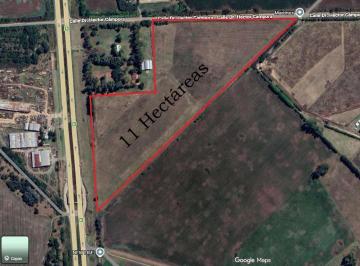 Campo · 110000m² · 11 Hectáreas en Venta Luján Gral Rodriguez Km 148