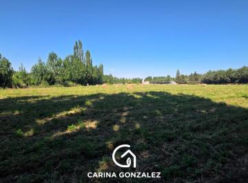 Campo · Venta Chacra de 5hs. Calle 5 Esq. Ruta 234 en Centenario, Neuquén