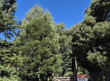 Terreno · 450m² · Terreno en Bosque Peralta Ramos