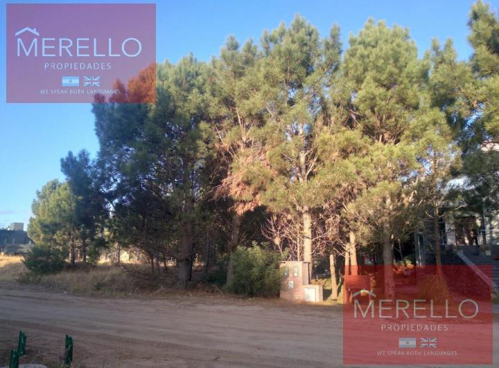 Terreno · 1150m²