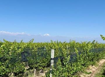 Terreno , Tupungato · Finca en Venta en Tupungato, El Zampalito - Valle de Uco