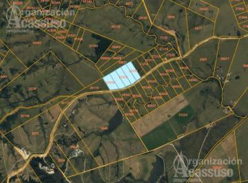 Terreno · 250000ha · Terreno en Venta 25 Ha